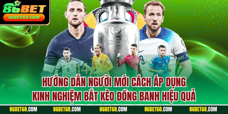 Hướng dẫn người mới cách áp dụng kinh nghiệm bắt kèo đồng banh hiệu quả