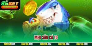 Mẹo Săn Cá To
